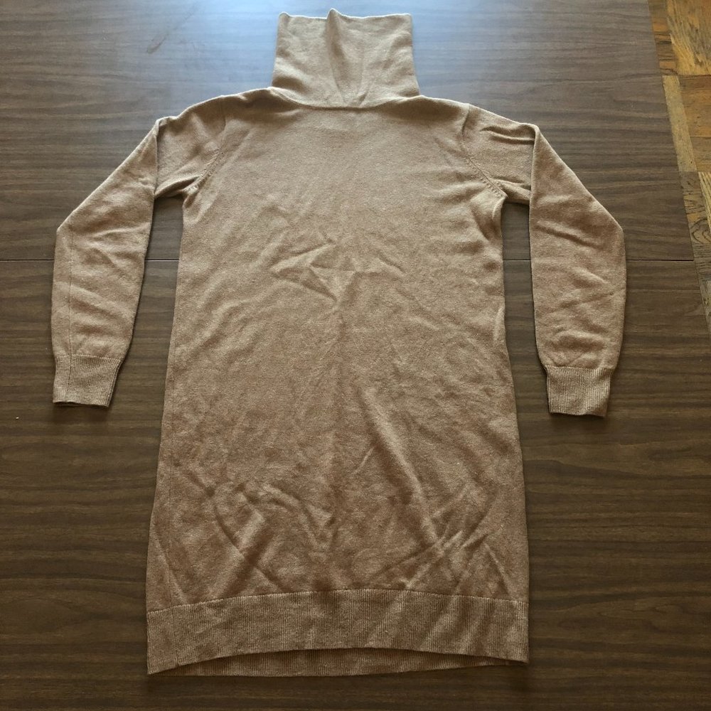 Aritzia Babaton Mulray turtleneck sweater dress